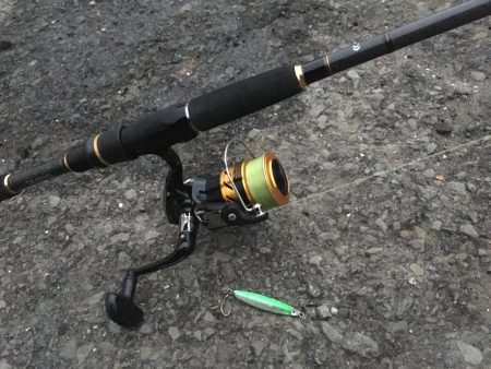 ジグサビキでアジとサバ